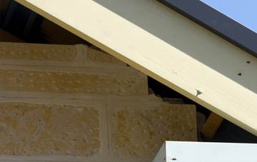 soffit repair Thankerton